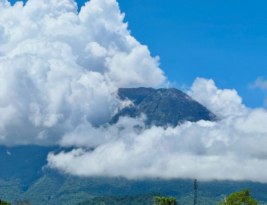 Planning a Bali Trip? Discover the Hidden Gem: Tegallalang Rice Terrace