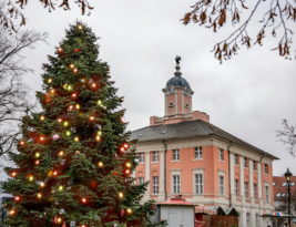 Münster’s Enchanting Christmas Markets: A Festive Winter Wonderland